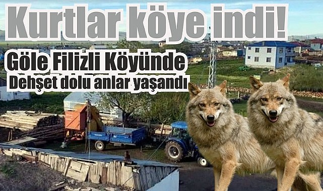   Sonbaharın gelmesiyle
