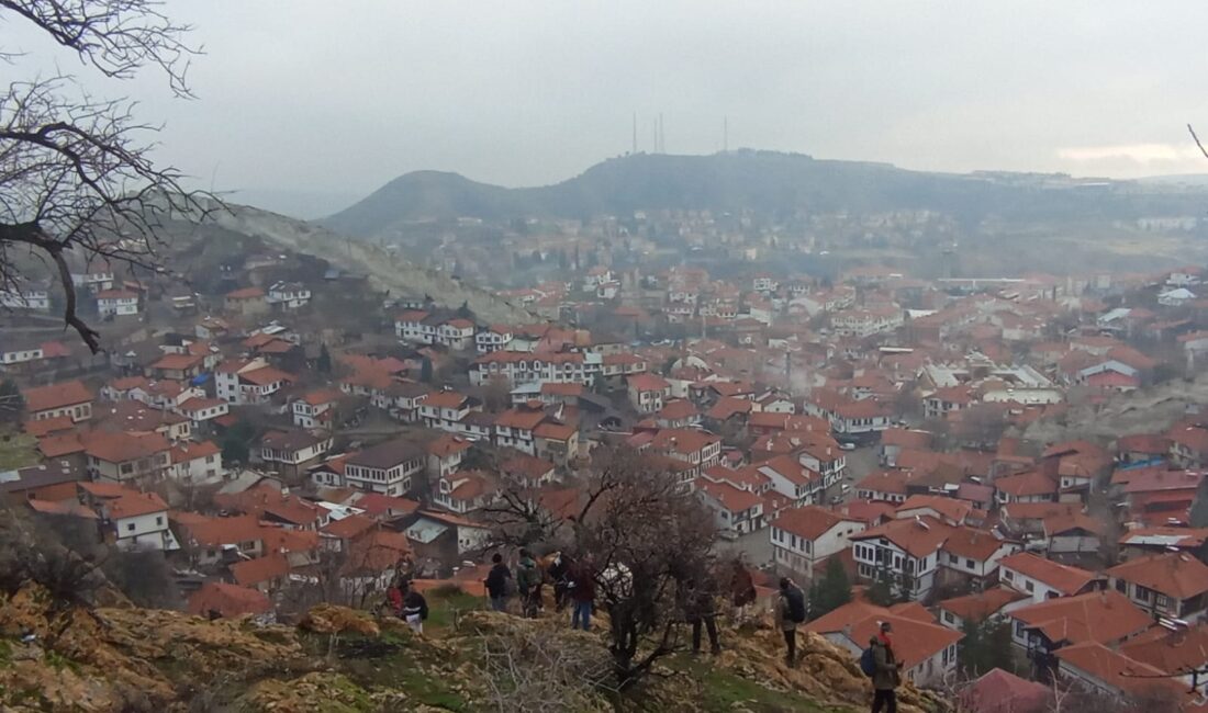 Yaşar TONBAK/ ANKARA –BHA