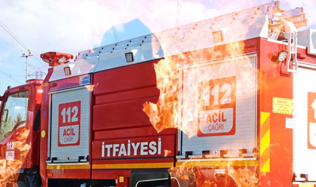 Eski tip ehliyetler için